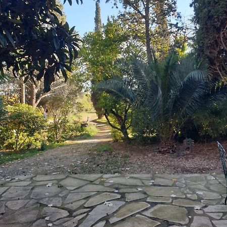 Chambres D'Hotes Dans Propriete Rurale Béziers Dış mekan fotoğraf
